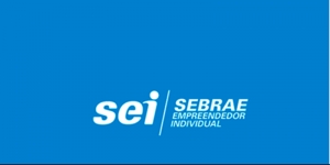 Oficina SEI do Sebrae