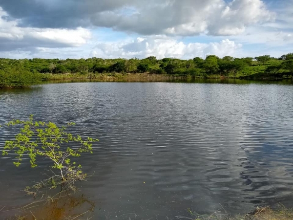 Prefeitura limpa e amplia açudes na zona rural